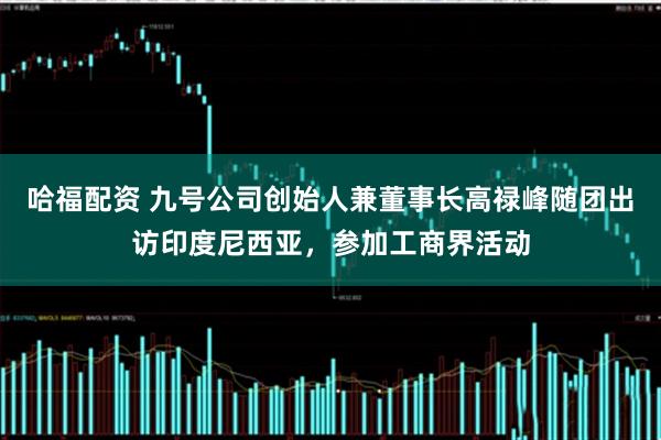 哈福配资 九号公司创始人兼董事长高禄峰随团出访印度尼西亚，参加工商界活动