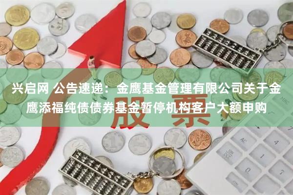 兴启网 公告速递：金鹰基金管理有限公司关于金鹰添福纯债债券基金暂停机构客户大额申购