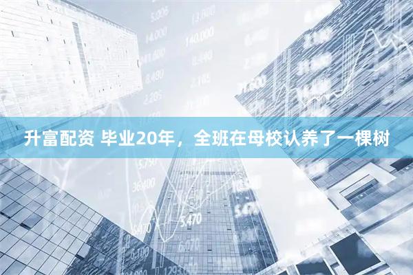 升富配资 毕业20年，全班在母校认养了一棵树